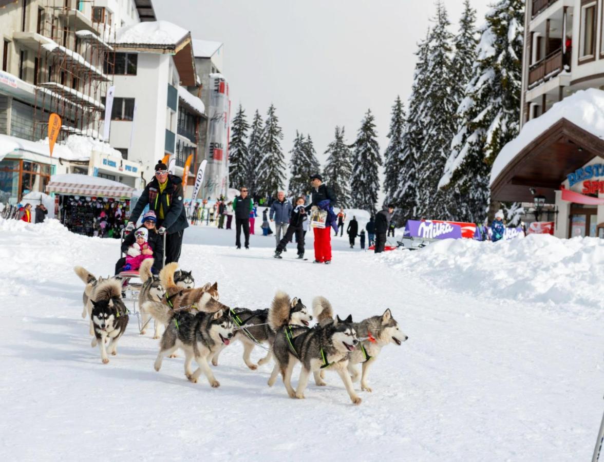 Elitza Villa Pamporovo Exteriör bild