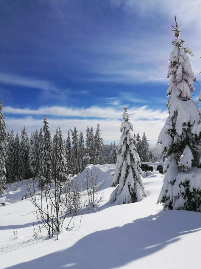 Elitza Villa Pamporovo Exteriör bild