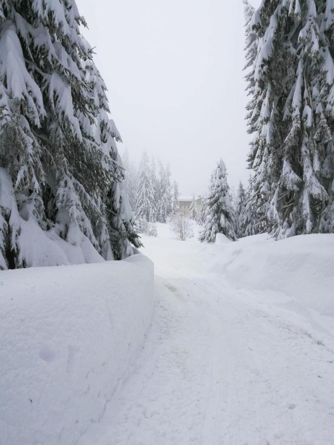 Elitza Villa Pamporovo Exteriör bild