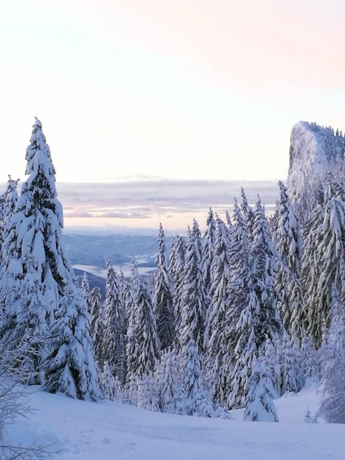Elitza Villa Pamporovo Exteriör bild