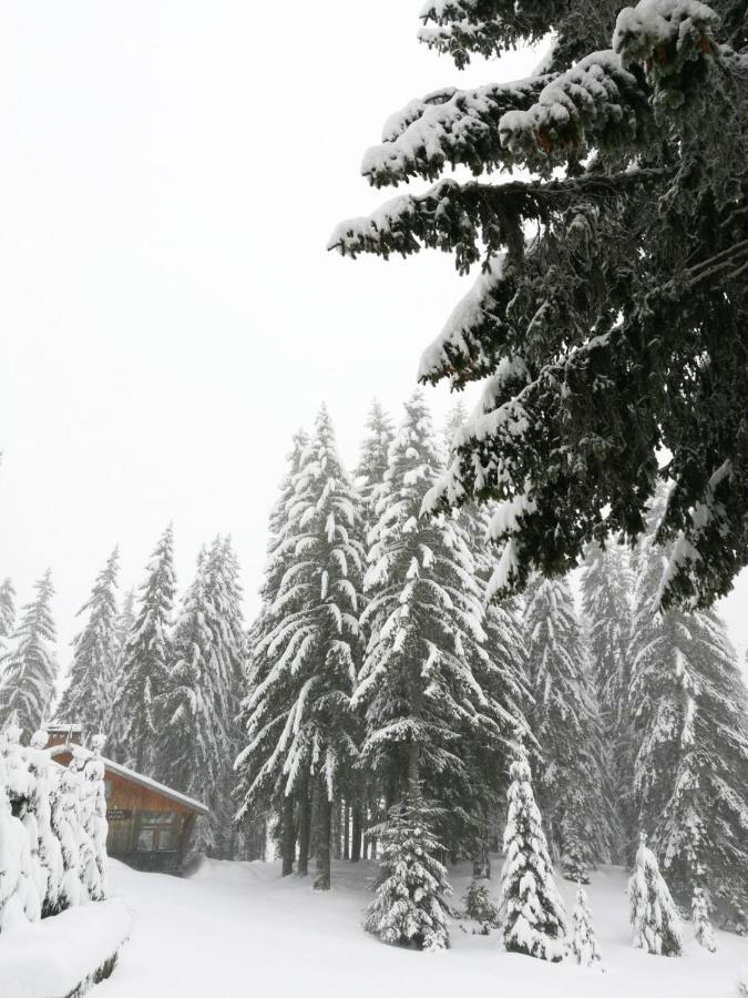Elitza Villa Pamporovo Exteriör bild