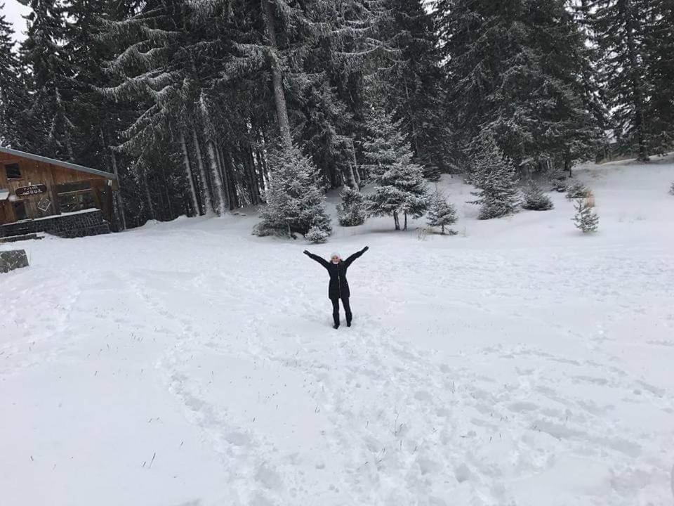 Elitza Villa Pamporovo Exteriör bild