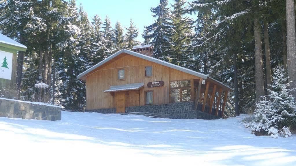 Elitza Villa Pamporovo Exteriör bild